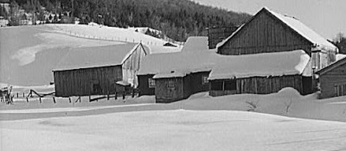 barninsnow+(2).jpeg