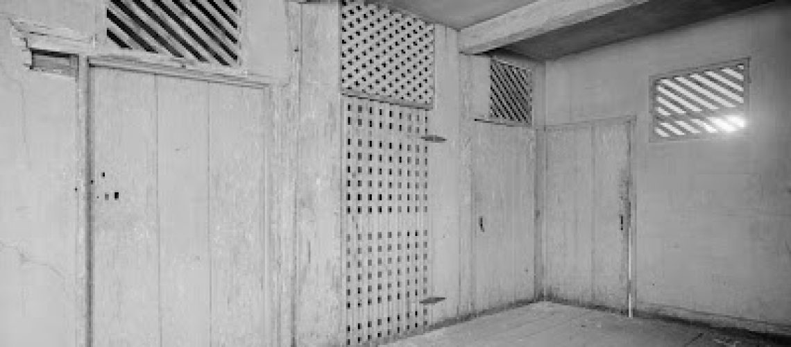 cages+%282%29.jpeg