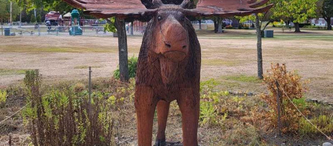 gorham moose