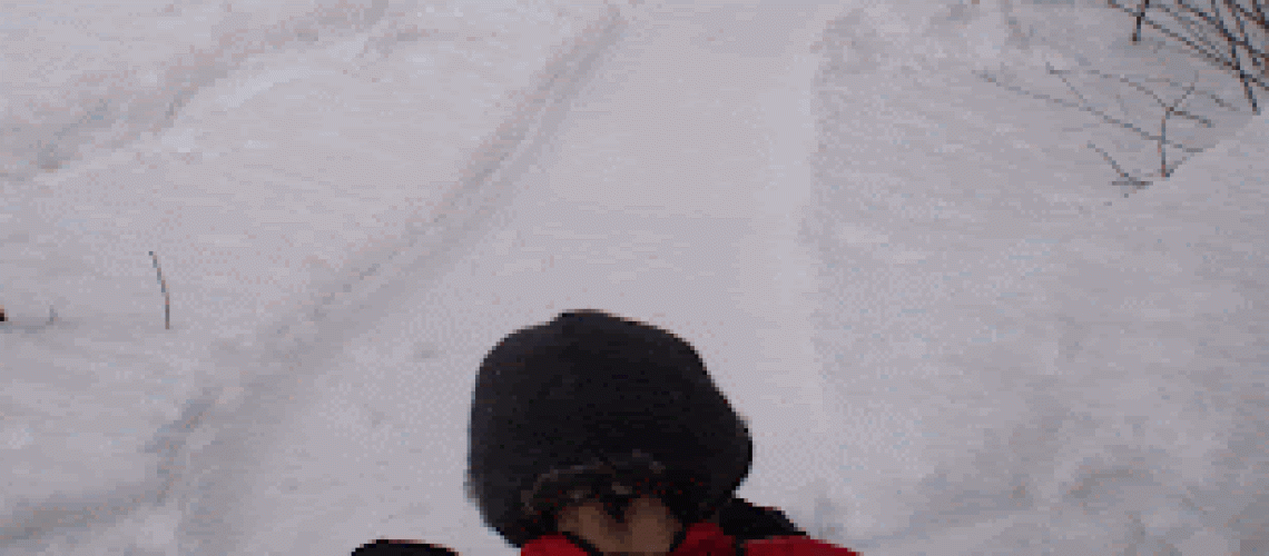 image.gif