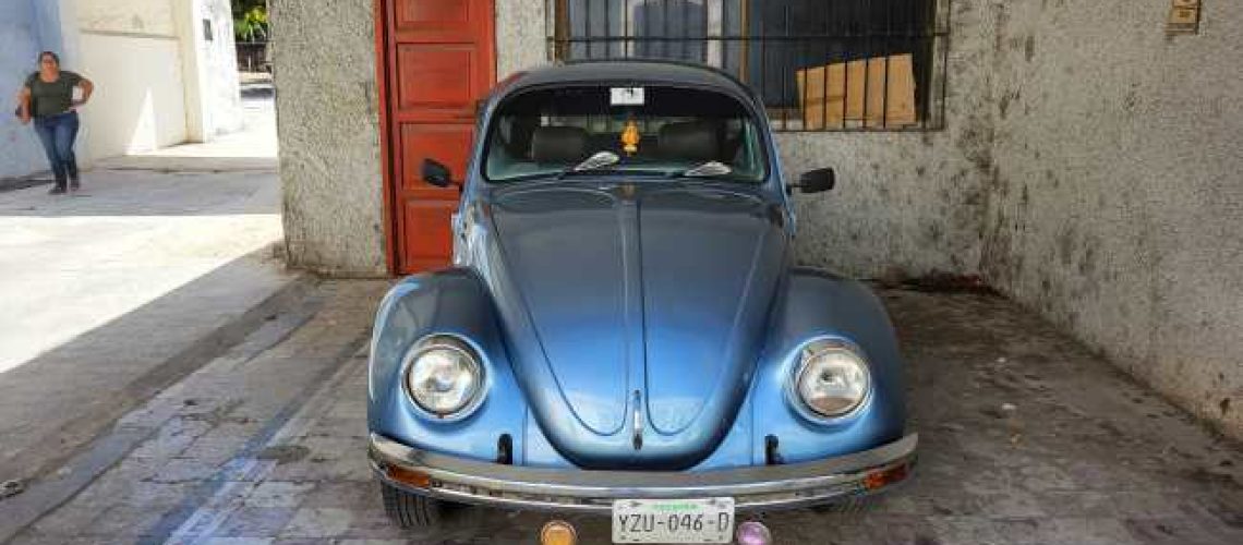 mexico has bugs