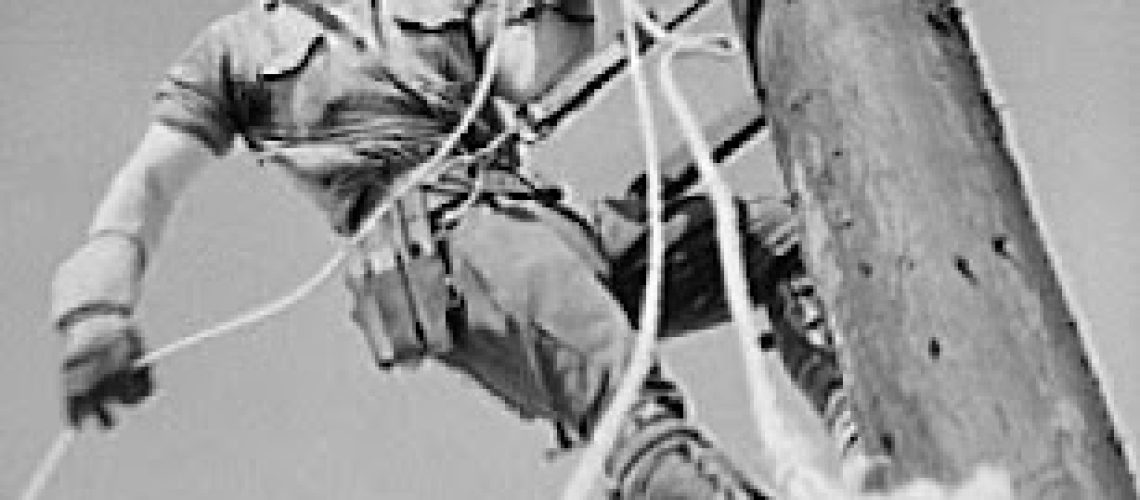 power+lineman+(2).jpeg
