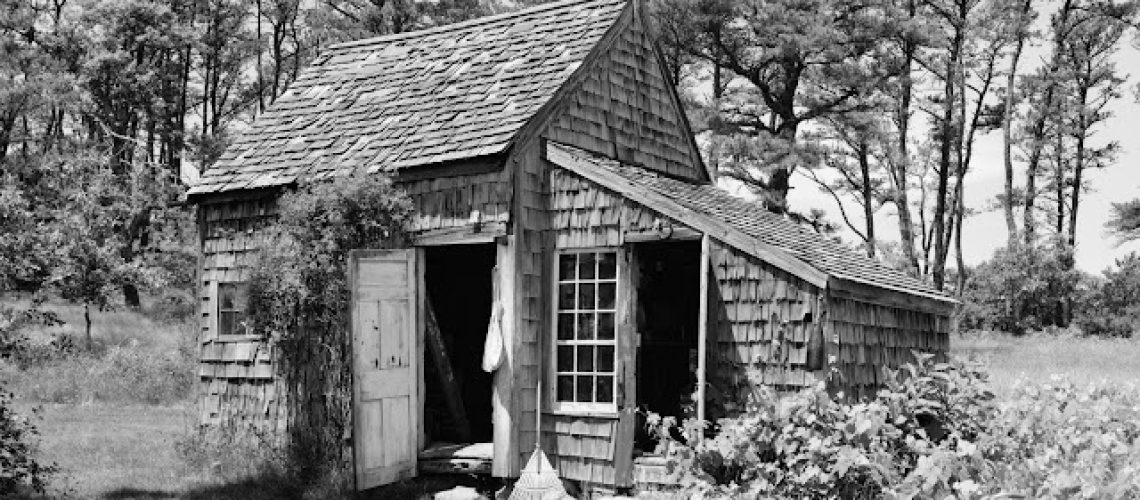 shed.jpeg