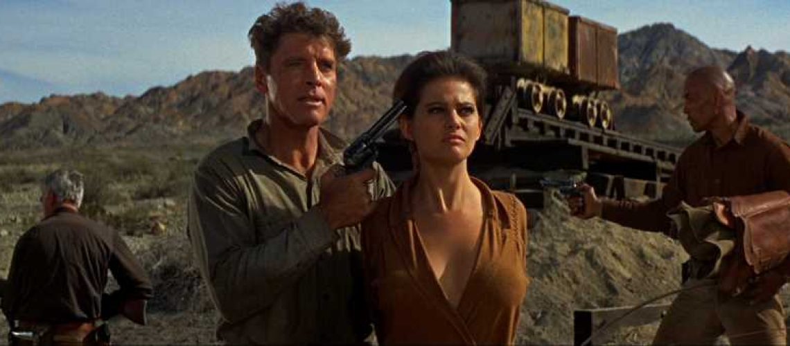 the professionals 1966